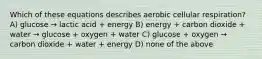 Which of these equations describes aerobic cellular respiration? A) glucose → lactic acid + energy B) energy + carbon dioxide + water → glucose + oxygen + water C) glucose + oxygen → carbon dioxide + water + energy D) none of the above