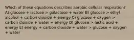 Which of these equations describes aerobic cellular respiration? A) glucose + lactose > galactose + water B) glucose > ethyl alcohol + carbon dioxide + energy C) glucose + oxygen > carbon dioxide + water + energy D) glucose > lactic acid + energy E) energy + carbon dioxide + water > glucose + oxygen + water