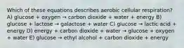 Which of these equations describes aerobic cellular respiration? A) glucose + oxygen → carbon dioxide + water + energy B) glucose + lactose → galactose + water C) glucose → lactic acid + energy D) energy + carbon dioxide + water → glucose + oxygen + water E) glucose → ethyl alcohol + carbon dioxide + energy