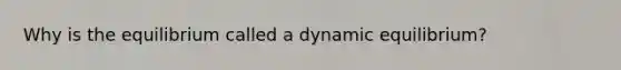 Why is the equilibrium called a dynamic equilibrium?