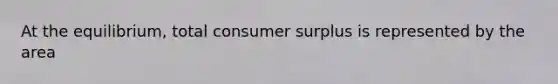 At the equilibrium, total consumer surplus is represented by the area