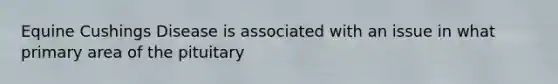 Equine Cushings Disease is associated with an issue in what primary area of the pituitary