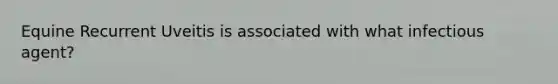Equine Recurrent Uveitis is associated with what infectious agent?