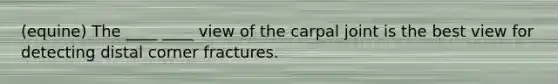 (equine) The ____ ____ view of the carpal joint is the best view for detecting distal corner fractures.