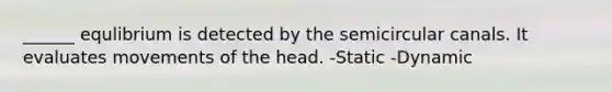 ______ equlibrium is detected by the semicircular canals. It evaluates movements of the head. -Static -Dynamic