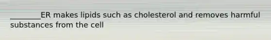 ________ER makes lipids such as cholesterol and removes harmful substances from the cell