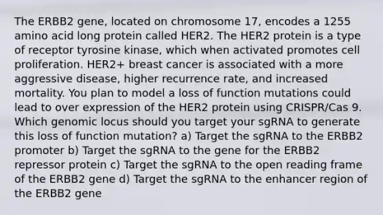 The ERBB2 gene, located on chromosome 17, encodes a 1255 amino acid long protein called HER2. The HER2 protein is a type of receptor tyrosine kinase, which when activated promotes cell proliferation. HER2+ breast cancer is associated with a more aggressive disease, higher recurrence rate, and increased mortality. You plan to model a loss of function mutations could lead to over expression of the HER2 protein using CRISPR/Cas 9. Which genomic locus should you target your sgRNA to generate this loss of function mutation? a) Target the sgRNA to the ERBB2 promoter b) Target the sgRNA to the gene for the ERBB2 repressor protein c) Target the sgRNA to the open reading frame of the ERBB2 gene d) Target the sgRNA to the enhancer region of the ERBB2 gene