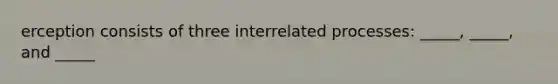 erception consists of three interrelated processes: _____, _____, and _____