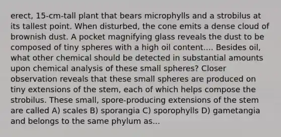 erect, 15-cm-tall plant that bears microphylls and a strobilus at its tallest point. When disturbed, the cone emits a dense cloud of brownish dust. A pocket magnifying glass reveals the dust to be composed of tiny spheres with a high oil content.... Besides oil, what other chemical should be detected in substantial amounts upon chemical analysis of these small spheres? Closer observation reveals that these small spheres are produced on tiny extensions of the stem, each of which helps compose the strobilus. These small, spore-producing extensions of the stem are called A) scales B) sporangia C) sporophylls D) gametangia and belongs to the same phylum as...