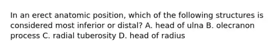 In an erect anatomic position, which of the following structures is considered most inferior or distal? A. head of ulna B. olecranon process C. radial tuberosity D. head of radius