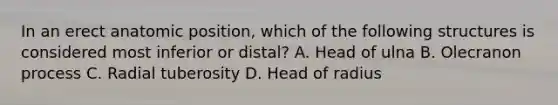 In an erect anatomic position, which of the following structures is considered most inferior or distal? A. Head of ulna B. Olecranon process C. Radial tuberosity D. Head of radius