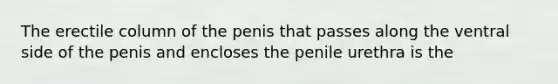 The erectile column of the penis that passes along the ventral side of the penis and encloses the penile urethra is the