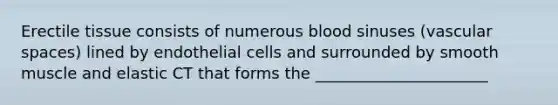 Erectile tissue consists of numerous blood sinuses (vascular spaces) lined by endothelial cells and surrounded by smooth muscle and elastic CT that forms the ______________________