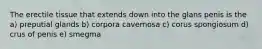The erectile tissue that extends down into the glans penis is the a) preputial glands b) corpora cavernosa c) corus spongiosum d) crus of penis e) smegma