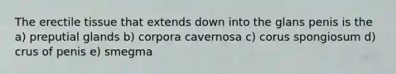 The erectile tissue that extends down into the glans penis is the a) preputial glands b) corpora cavernosa c) corus spongiosum d) crus of penis e) smegma