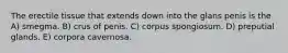 The erectile tissue that extends down into the glans penis is the A) smegma. B) crus of penis. C) corpus spongiosum. D) preputial glands. E) corpora cavernosa.