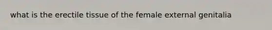 what is the erectile tissue of the female external genitalia