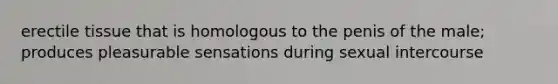 erectile tissue that is homologous to the penis of the male; produces pleasurable sensations during sexual intercourse