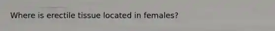 Where is erectile tissue located in females?