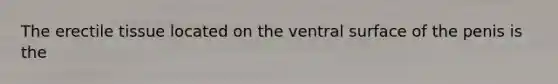 The erectile tissue located on the ventral surface of the penis is the