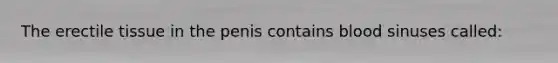 The erectile tissue in the penis contains blood sinuses called: