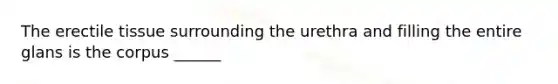 The erectile tissue surrounding the urethra and filling the entire glans is the corpus ______