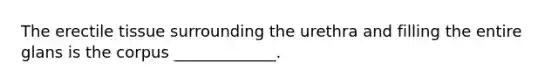 The erectile tissue surrounding the urethra and filling the entire glans is the corpus _____________.