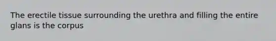 The erectile tissue surrounding the urethra and filling the entire glans is the corpus