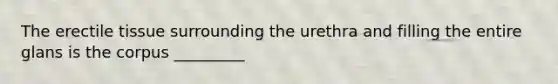 The erectile tissue surrounding the urethra and filling the entire glans is the corpus _________