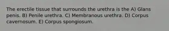 The erectile tissue that surrounds the urethra is the A) Glans penis. B) Penile urethra. C) Membranous urethra. D) Corpus cavernosum. E) Corpus spongiosum.