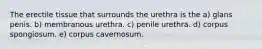 The erectile tissue that surrounds the urethra is the a) glans penis. b) membranous urethra. c) penile urethra. d) corpus spongiosum. e) corpus cavernosum.