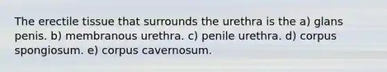 The erectile tissue that surrounds the urethra is the a) glans penis. b) membranous urethra. c) penile urethra. d) corpus spongiosum. e) corpus cavernosum.