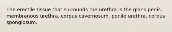 The erectile tissue that surrounds the urethra is the glans penis. membranous urethra. corpus cavernosum. penile urethra. corpus spongiosum.