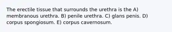 The erectile tissue that surrounds the urethra is the A) membranous urethra. B) penile urethra. C) glans penis. D) corpus spongiosum. E) corpus cavernosum.