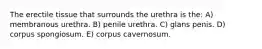 The erectile tissue that surrounds the urethra is the: A) membranous urethra. B) penile urethra. C) glans penis. D) corpus spongiosum. E) corpus cavernosum.