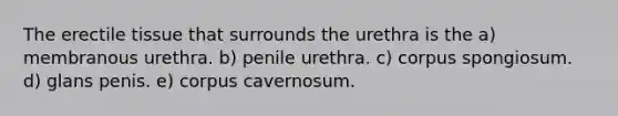 The erectile tissue that surrounds the urethra is the a) membranous urethra. b) penile urethra. c) corpus spongiosum. d) glans penis. e) corpus cavernosum.