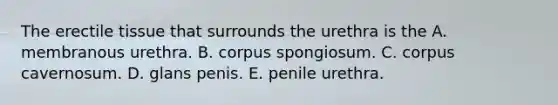 The erectile tissue that surrounds the urethra is the A. membranous urethra. B. corpus spongiosum. C. corpus cavernosum. D. glans penis. E. penile urethra.