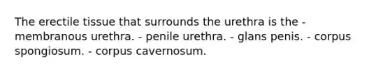 The erectile tissue that surrounds the urethra is the - membranous urethra. - penile urethra. - glans penis. - corpus spongiosum. - corpus cavernosum.