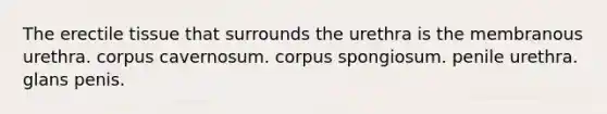 The erectile tissue that surrounds the urethra is the membranous urethra. corpus cavernosum. corpus spongiosum. penile urethra. glans penis.