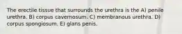 The erectile tissue that surrounds the urethra is the A) penile urethra. B) corpus cavernosum. C) membranous urethra. D) corpus spongiosum. E) glans penis.