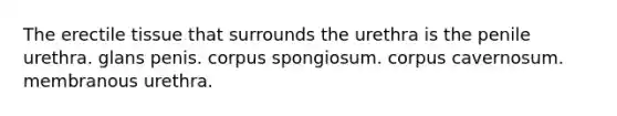 The erectile tissue that surrounds the urethra is the penile urethra. glans penis. corpus spongiosum. corpus cavernosum. membranous urethra.