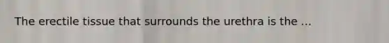 The erectile tissue that surrounds the urethra is the ...