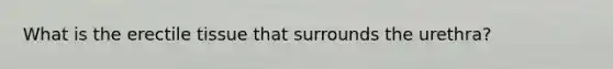 What is the erectile tissue that surrounds the urethra?