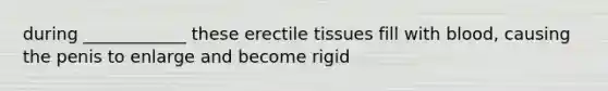 during ____________ these erectile tissues fill with blood, causing the penis to enlarge and become rigid