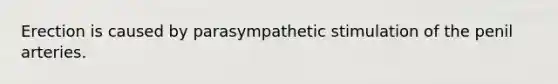 Erection is caused by parasympathetic stimulation of the penil arteries.