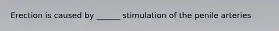 Erection is caused by ______ stimulation of the penile arteries