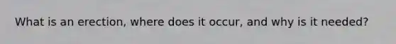 What is an erection, where does it occur, and why is it needed?