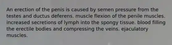 An erection of the penis is caused by semen pressure from the testes and ductus deferens. muscle flexion of the penile muscles. increased secretions of lymph into the spongy tissue. blood filling the erectile bodies and compressing the veins. ejaculatory muscles.