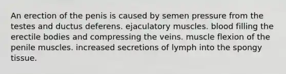 An erection of the penis is caused by semen pressure from the testes and ductus deferens. ejaculatory muscles. blood filling the erectile bodies and compressing the veins. muscle flexion of the penile muscles. increased secretions of lymph into the spongy tissue.