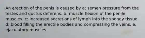 An erection of the penis is caused by a: semen pressure from the testes and ductus deferens. b: muscle flexion of the penile muscles. c: increased secretions of lymph into the spongy tissue. d: blood filling the erectile bodies and compressing the veins. e: ejaculatory muscles.